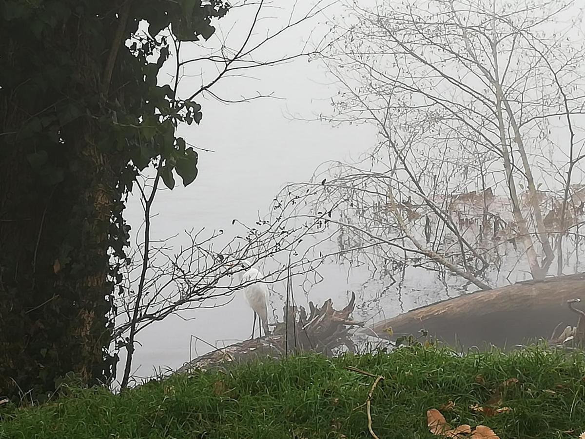 A Due Passi Dal Castello Acomodação com café da manhã Somma Lombardo Exterior foto