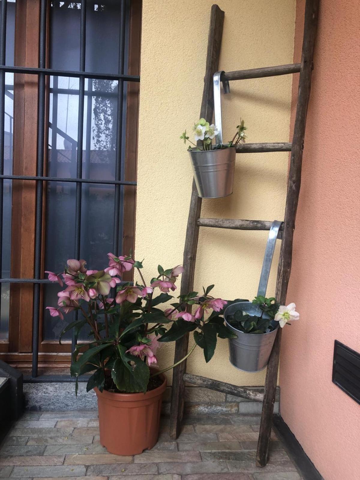 A Due Passi Dal Castello Acomodação com café da manhã Somma Lombardo Exterior foto